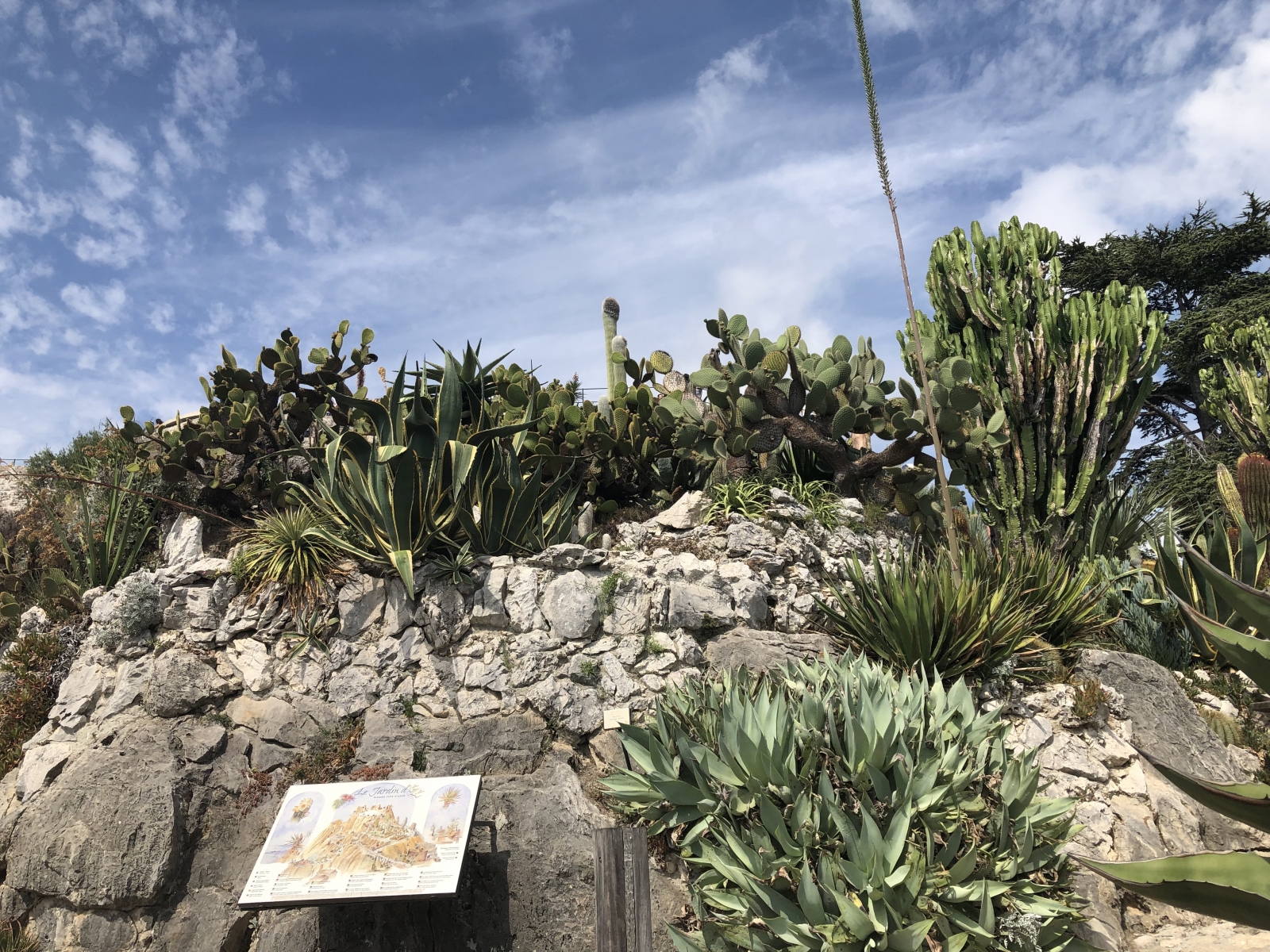 Visite du  jardin botanique à Eze village