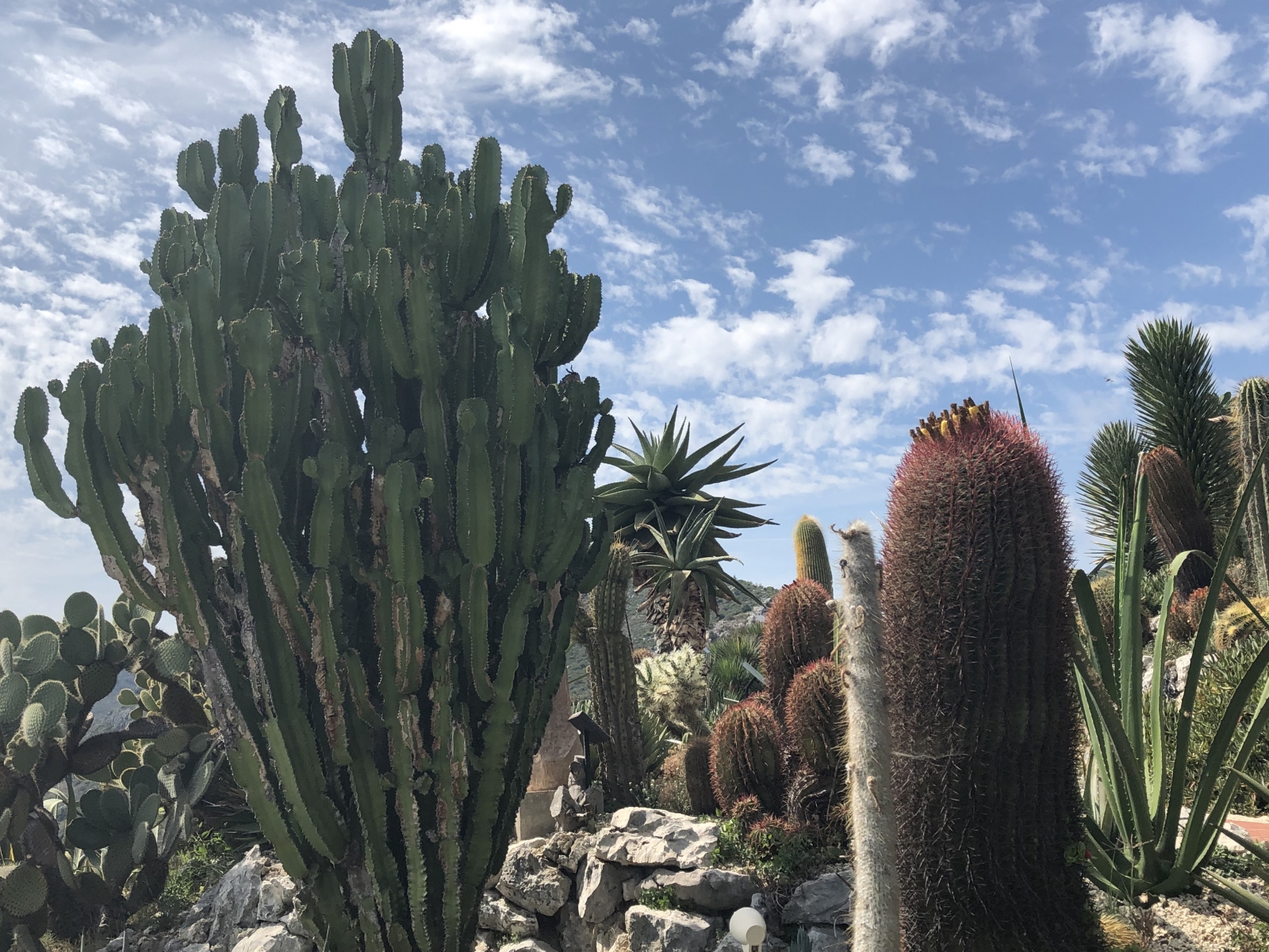 Visite du  jardin botanique à Eze village