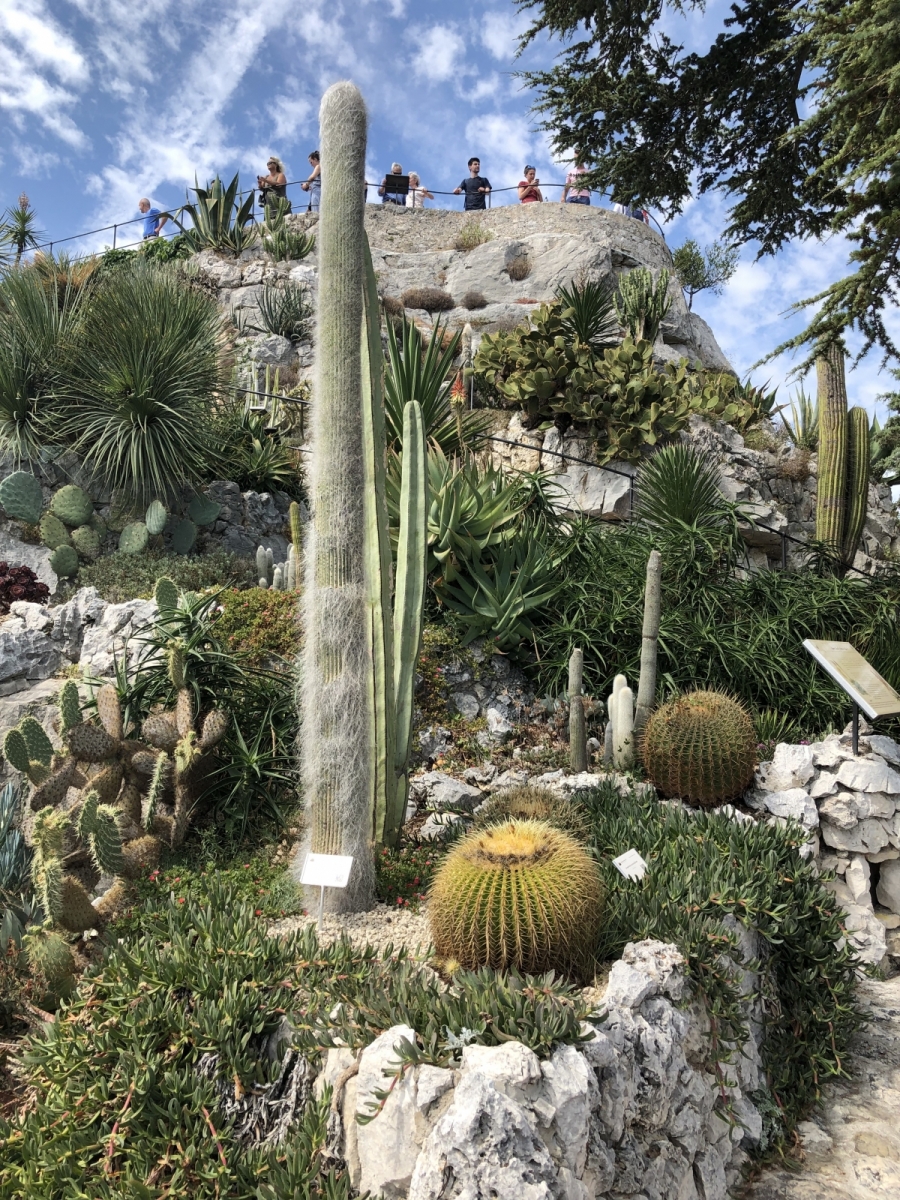 Visite du  jardin botanique à Eze village