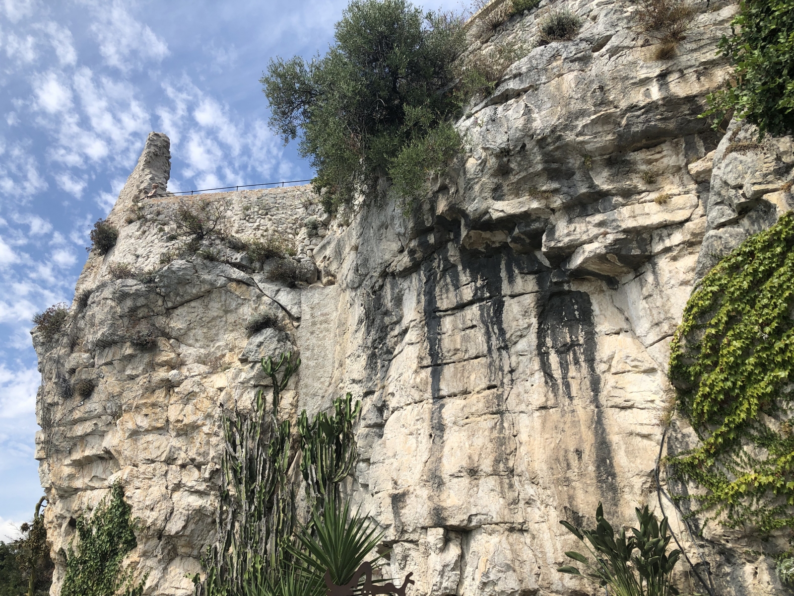 Visite du  jardin botanique à Eze village