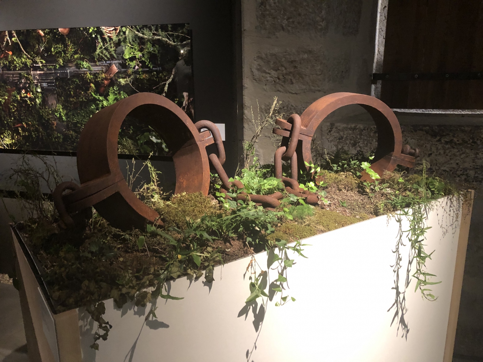 Visite de l'exposition 