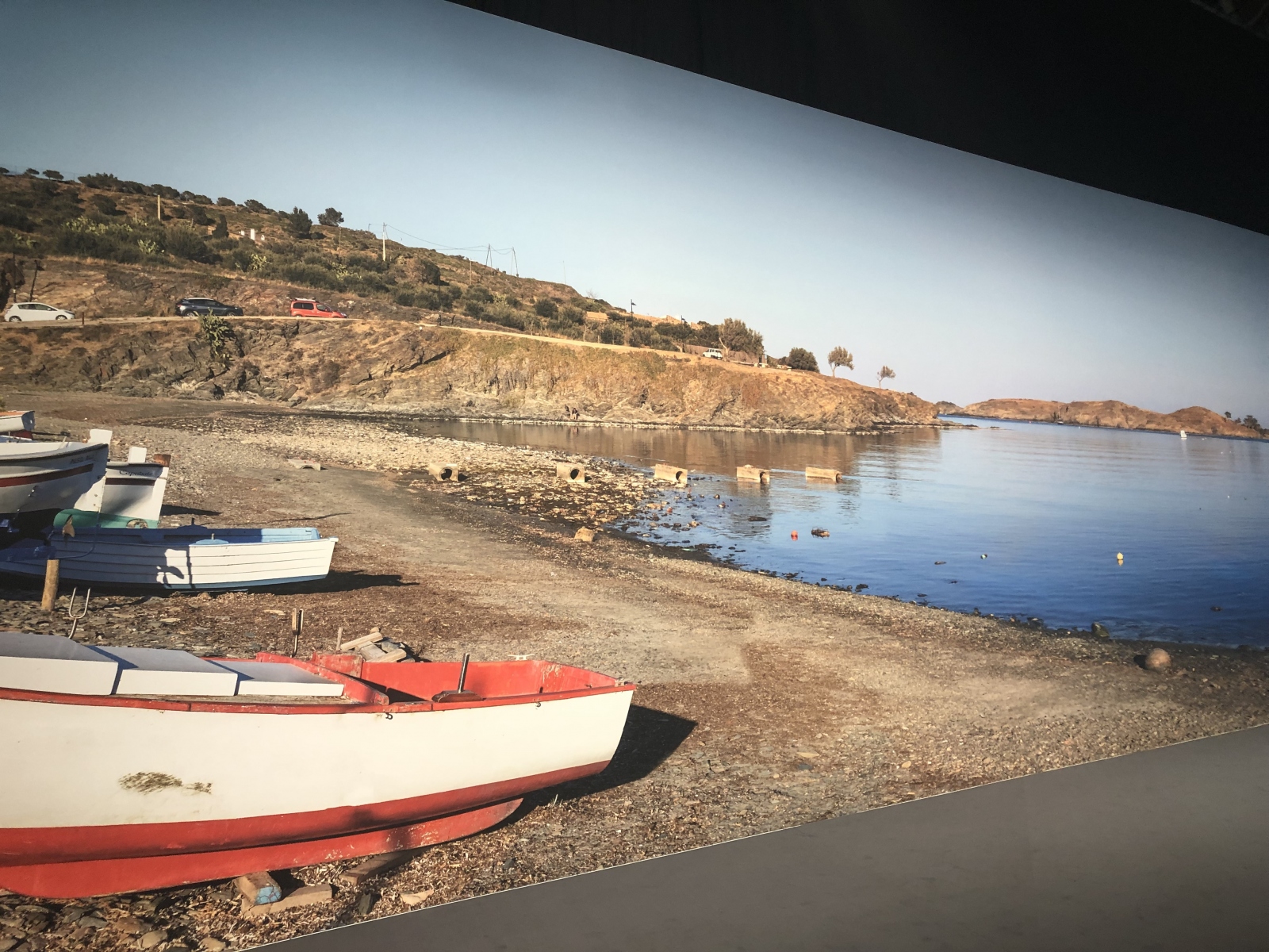 Visite de l'exposition Dali à Monaco