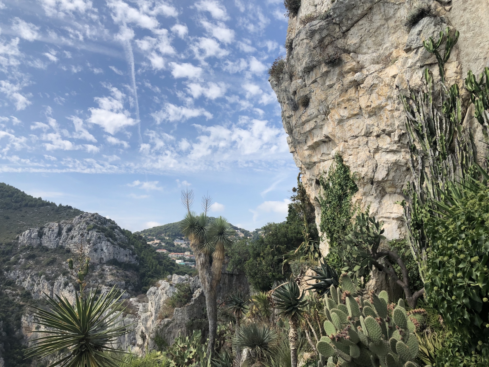 Visite du  jardin botanique à Eze village