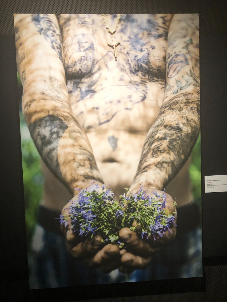 Visite de l'exposition 
