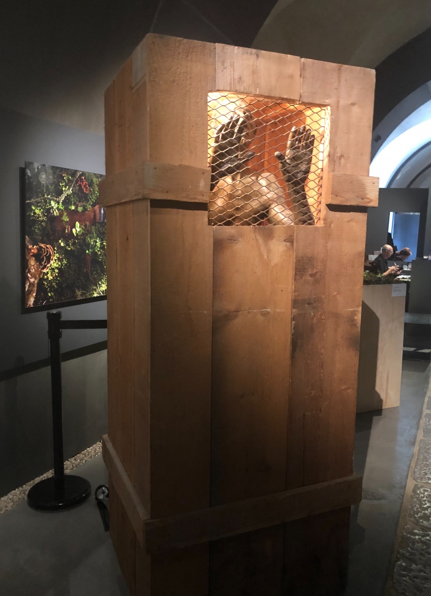 Visite de l'exposition 