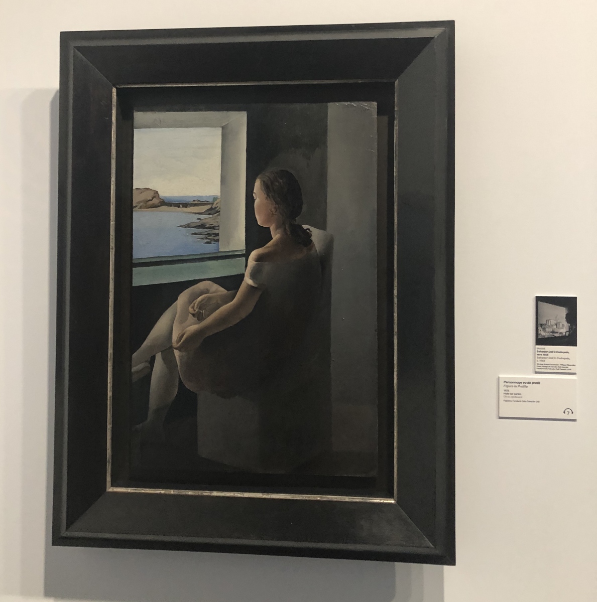 Visite de l'exposition Dali à Monaco