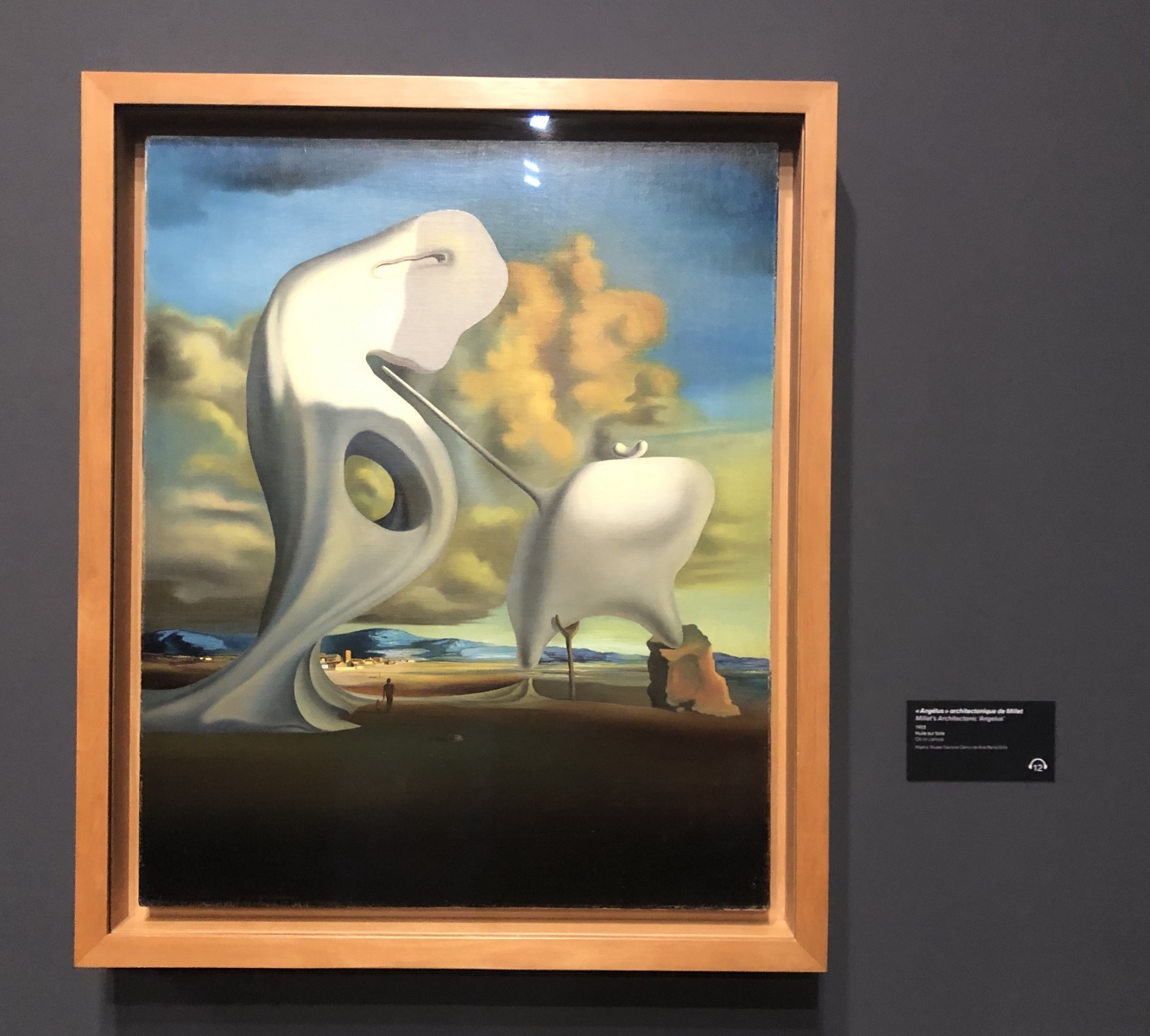 Visite de l'exposition Dali à Monaco