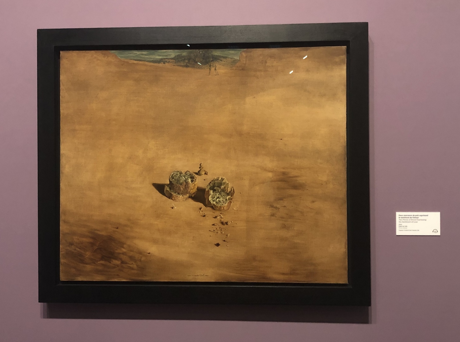 Visite de l'exposition Dali à Monaco
