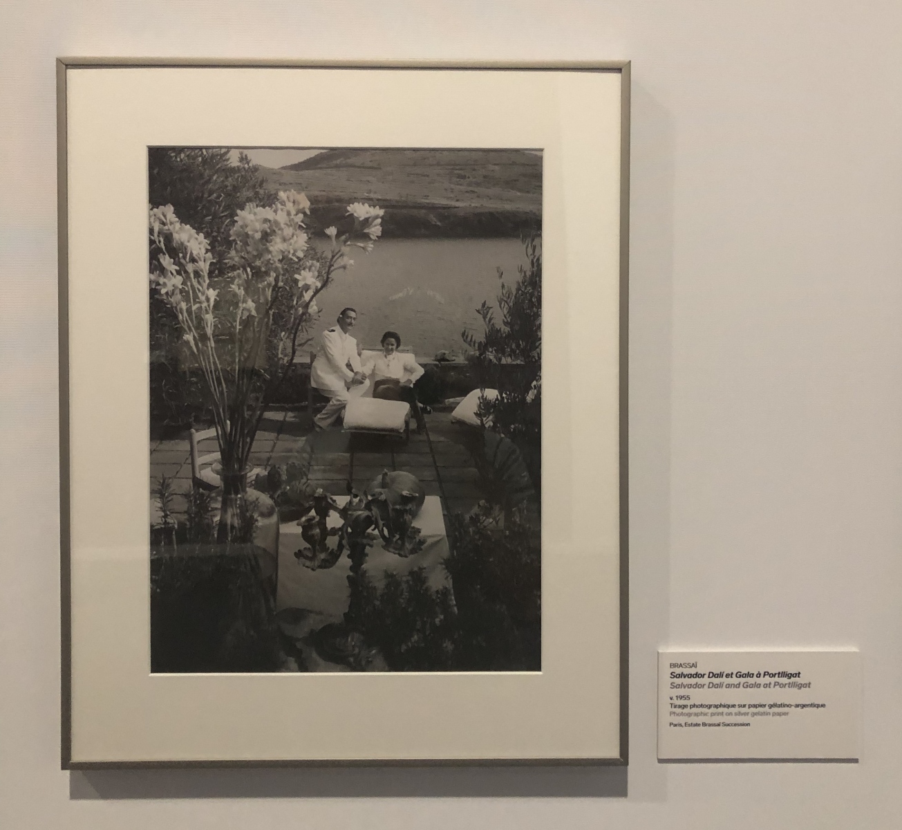 Visite de l'exposition Dali à Monaco