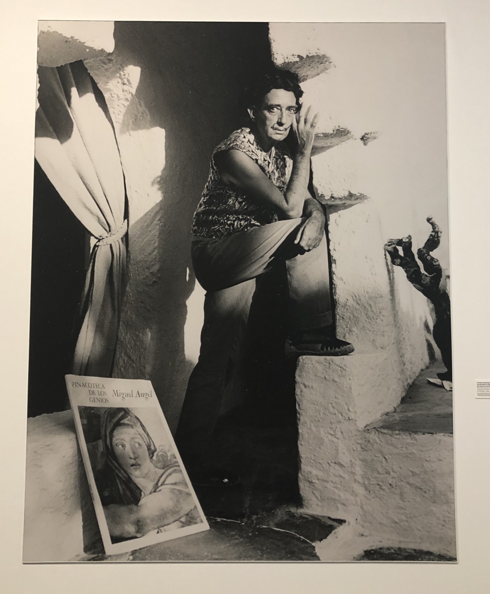 Visite de l'exposition Dali à Monaco