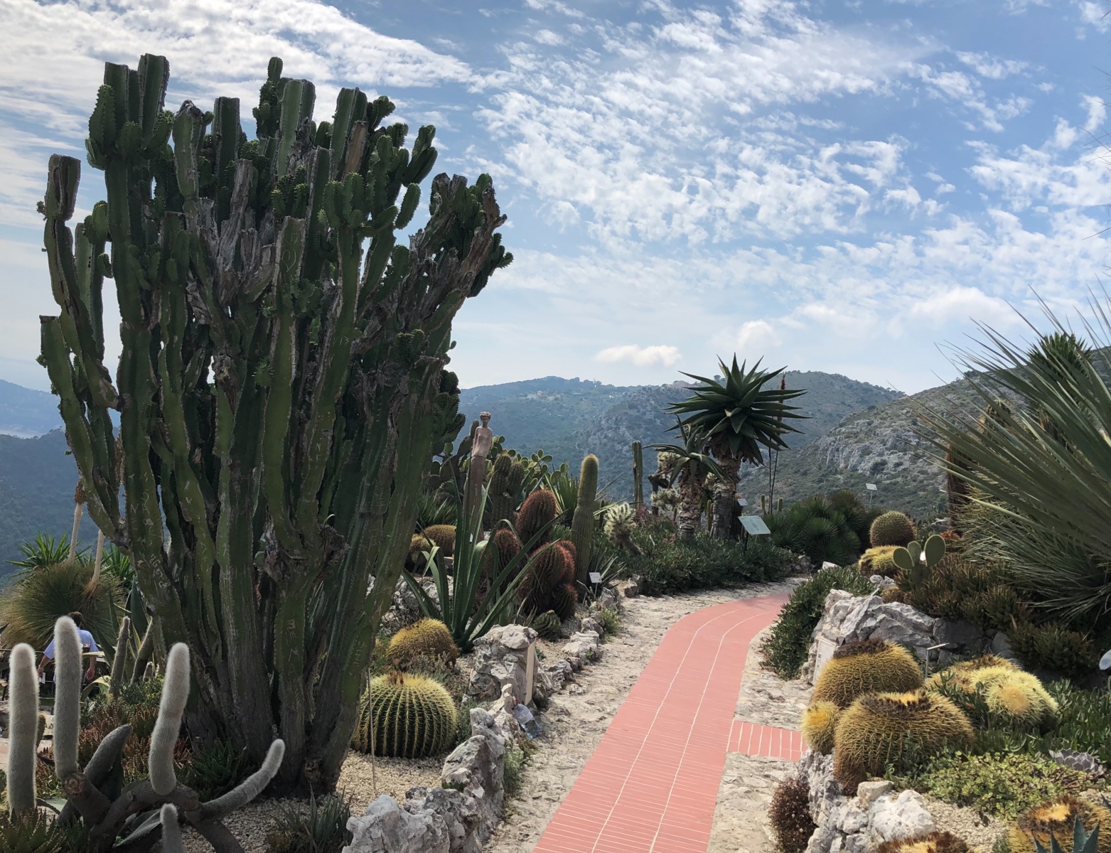 Visite du  jardin botanique à Eze village