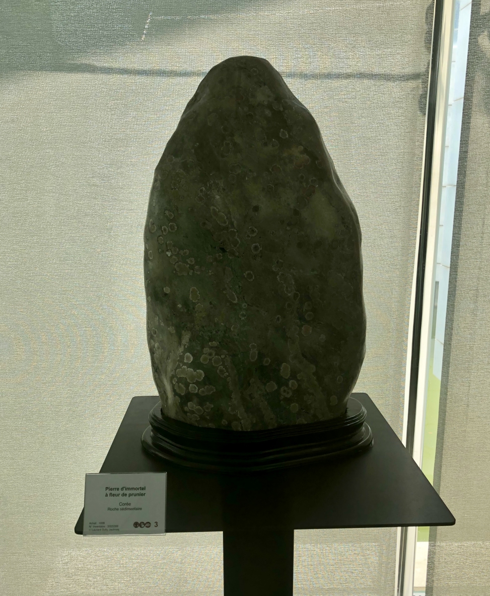 Visite du musée des arts asiatiques de Nice