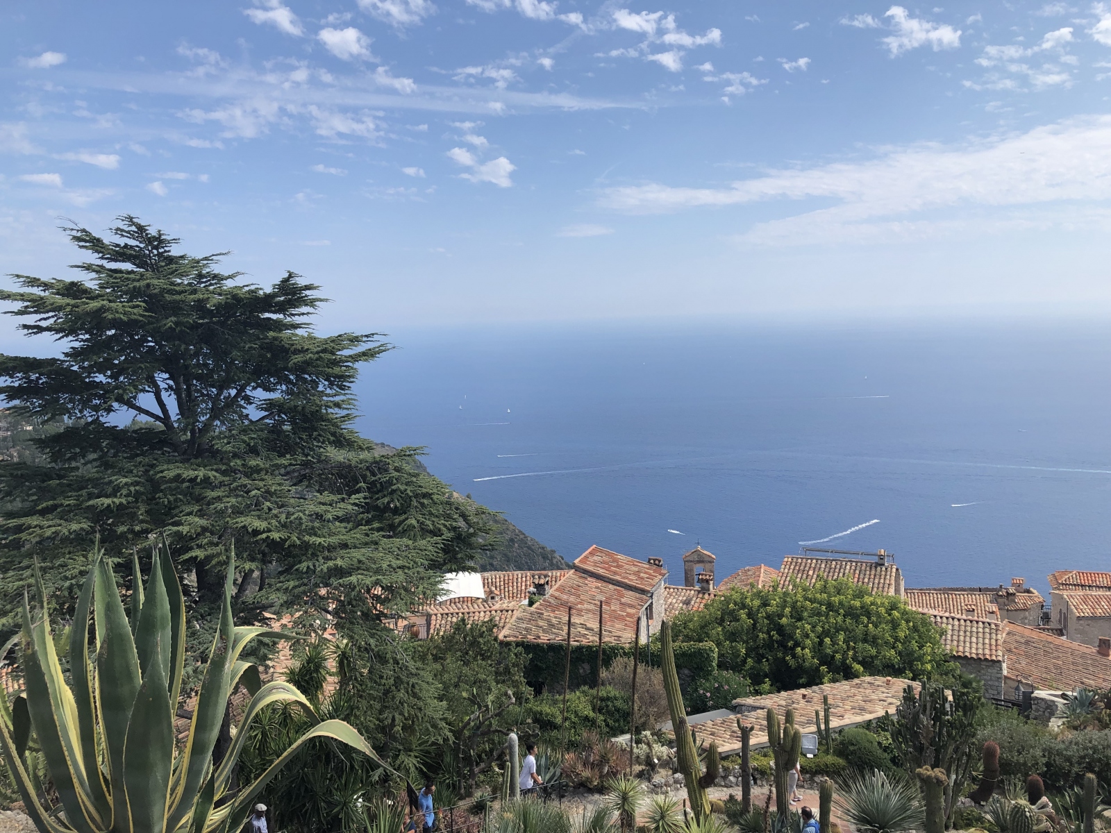 Visite du  jardin botanique à Eze village