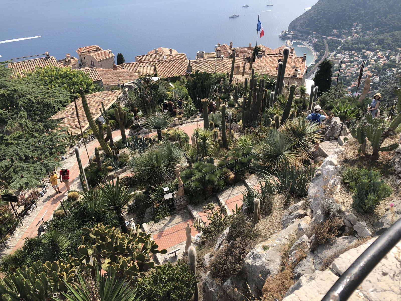 Visite du  jardin botanique à Eze village