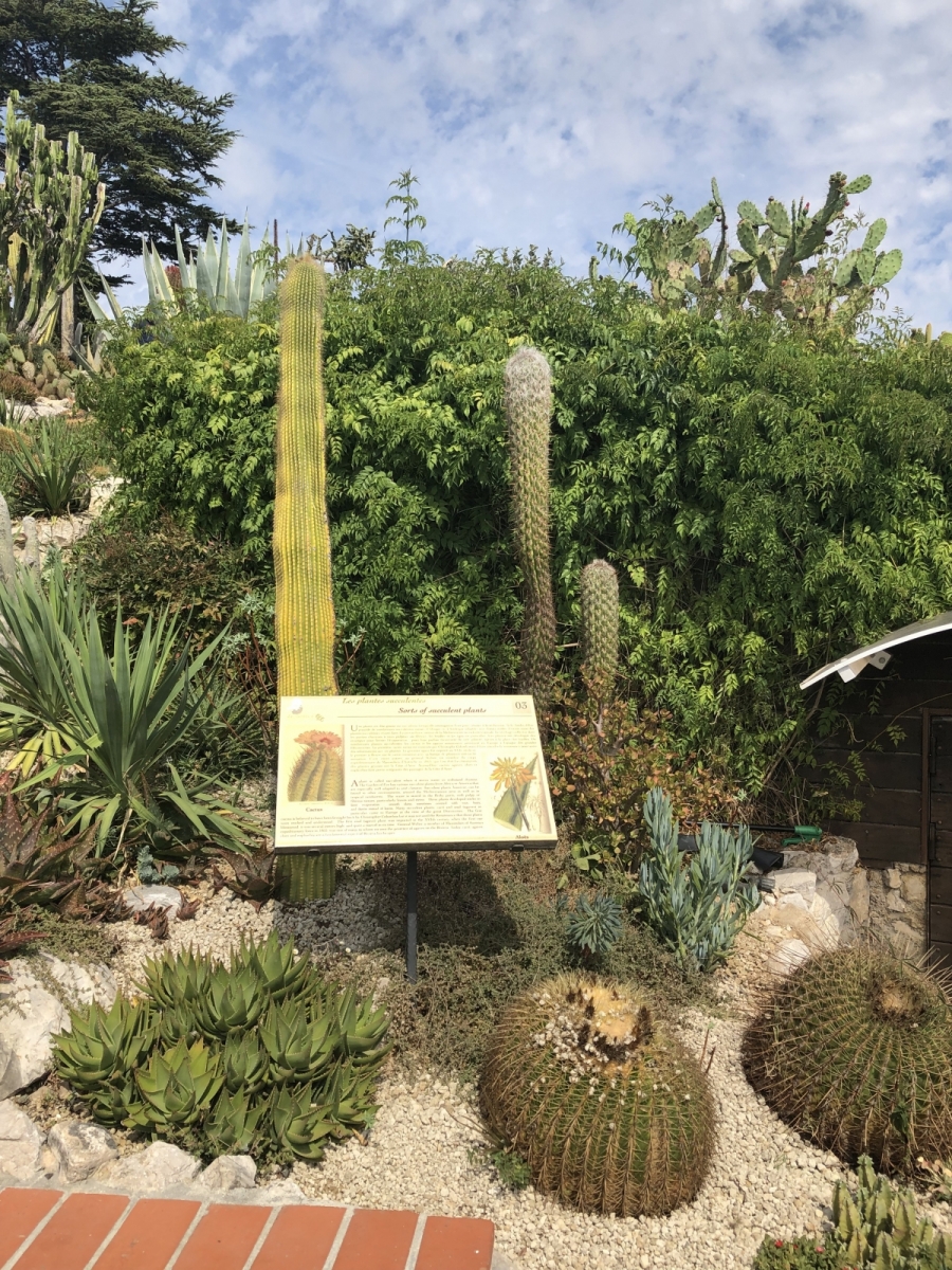 Visite du  jardin botanique à Eze village