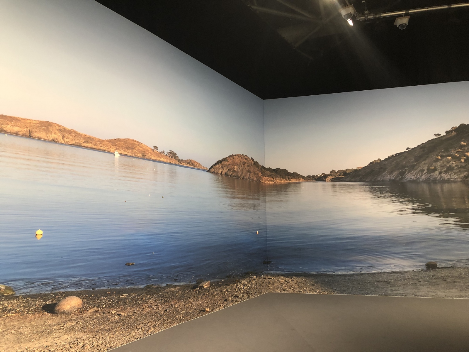 Visite de l'exposition Dali à Monaco