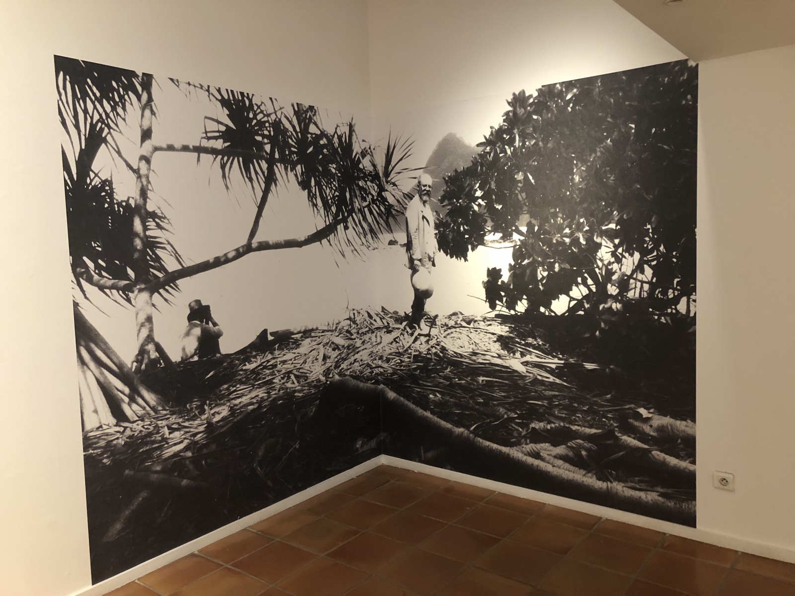 Visite de l'exposition temporaire 