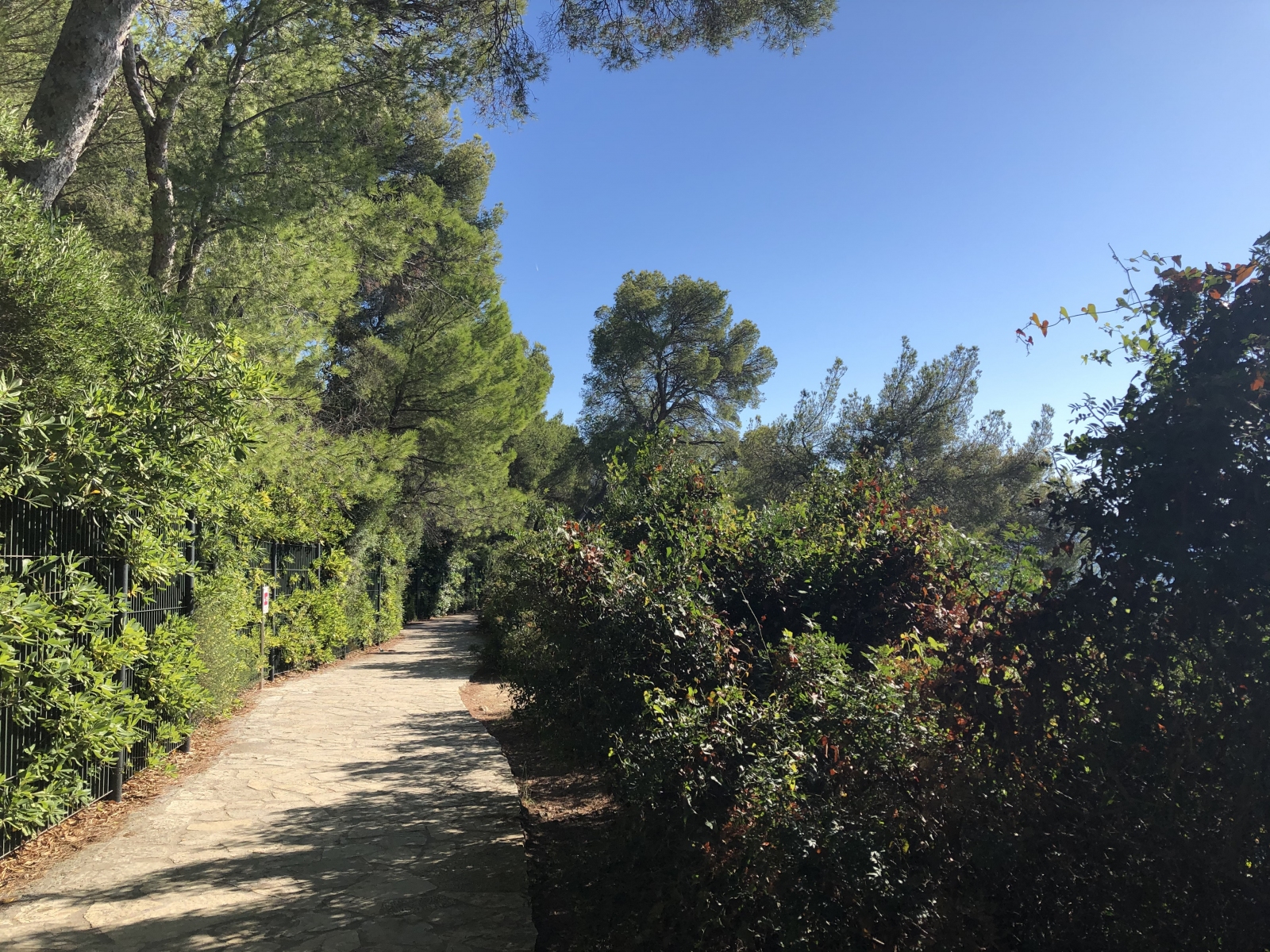 Ballade le long du sentier de la Pointe Saint-Hospice à Saint Jean Cap-Ferrat