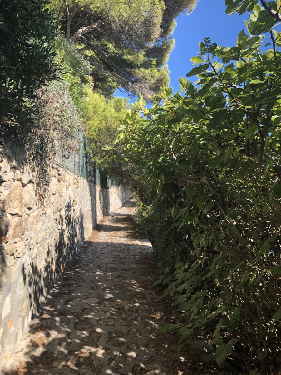 Ballade le long du sentier de la Pointe Saint-Hospice à Saint Jean Cap-Ferrat