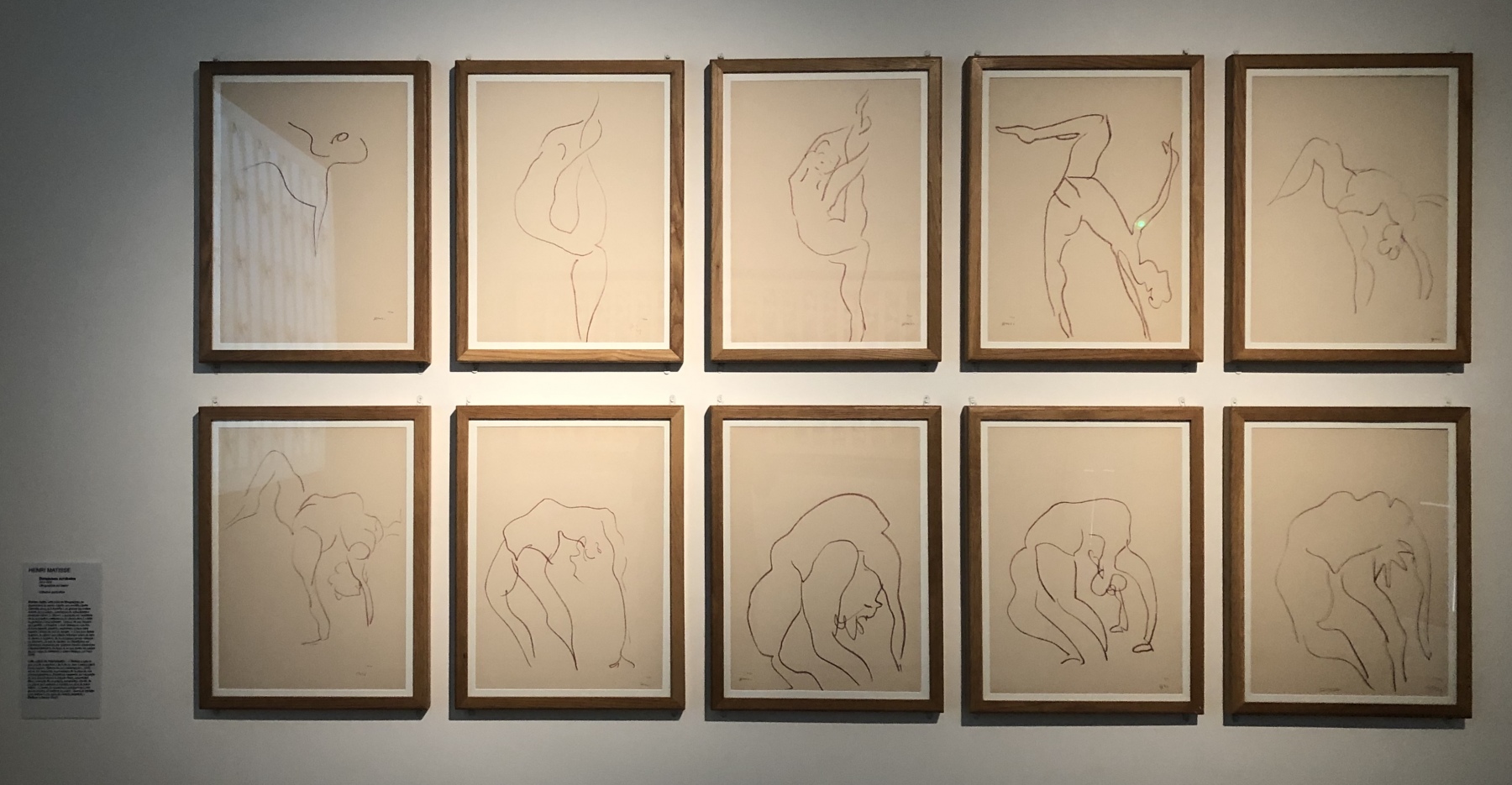 Visite de l'exposition temporaire 