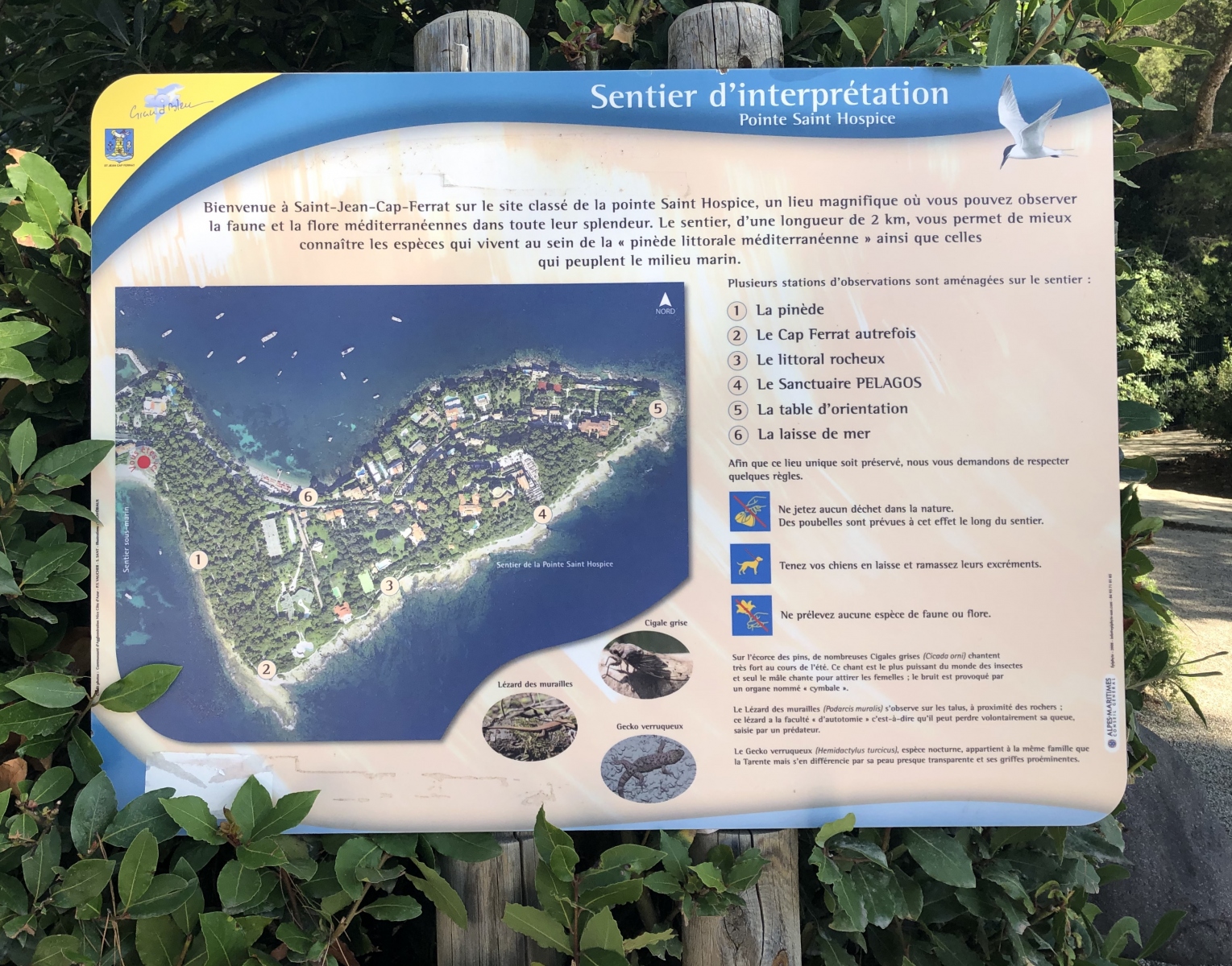 Ballade le long du sentier de la Pointe Saint-Hospice à Saint Jean Cap-Ferrat