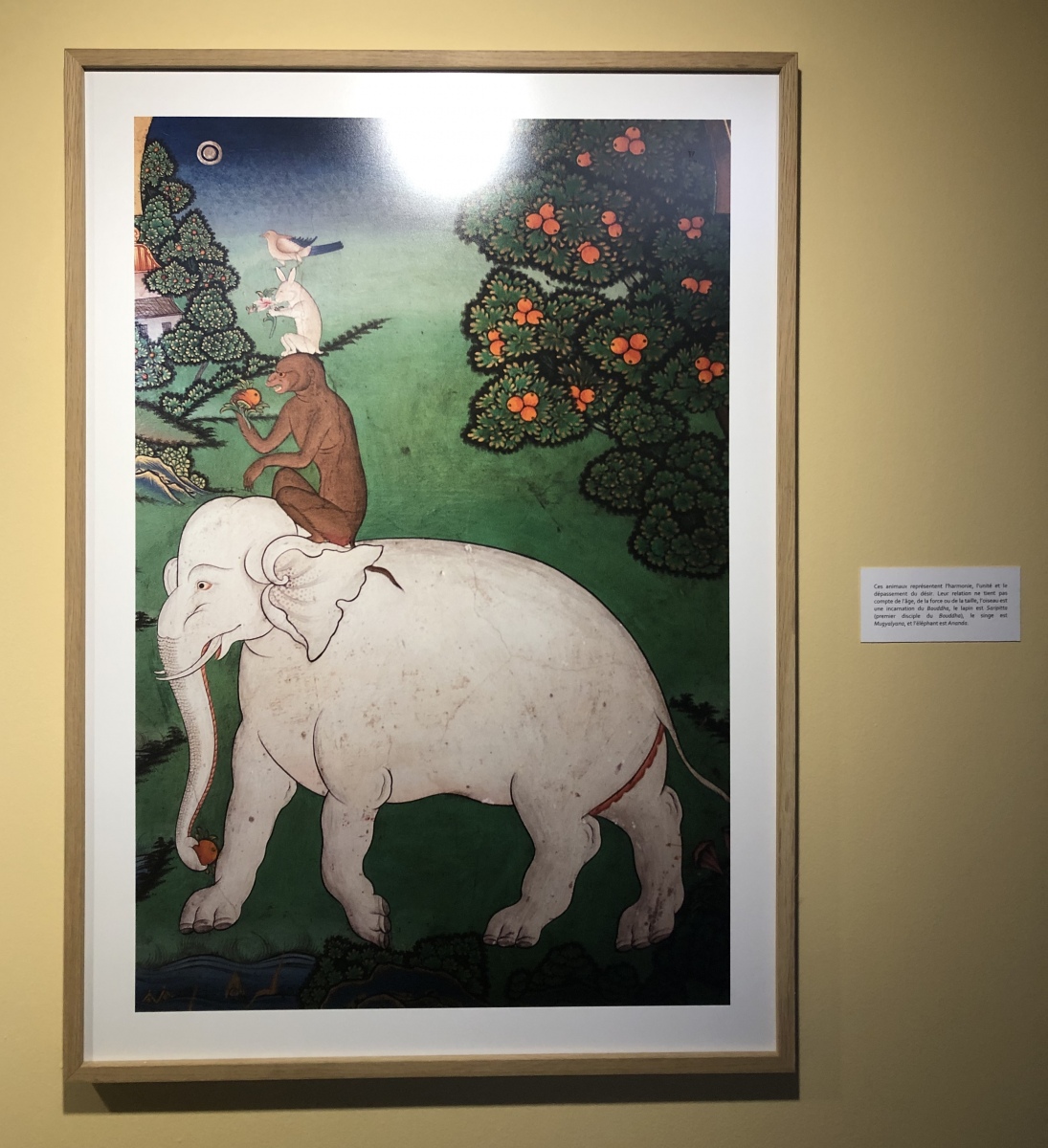 Exposition photos sur le Tibet au musée de la photographie de Nice