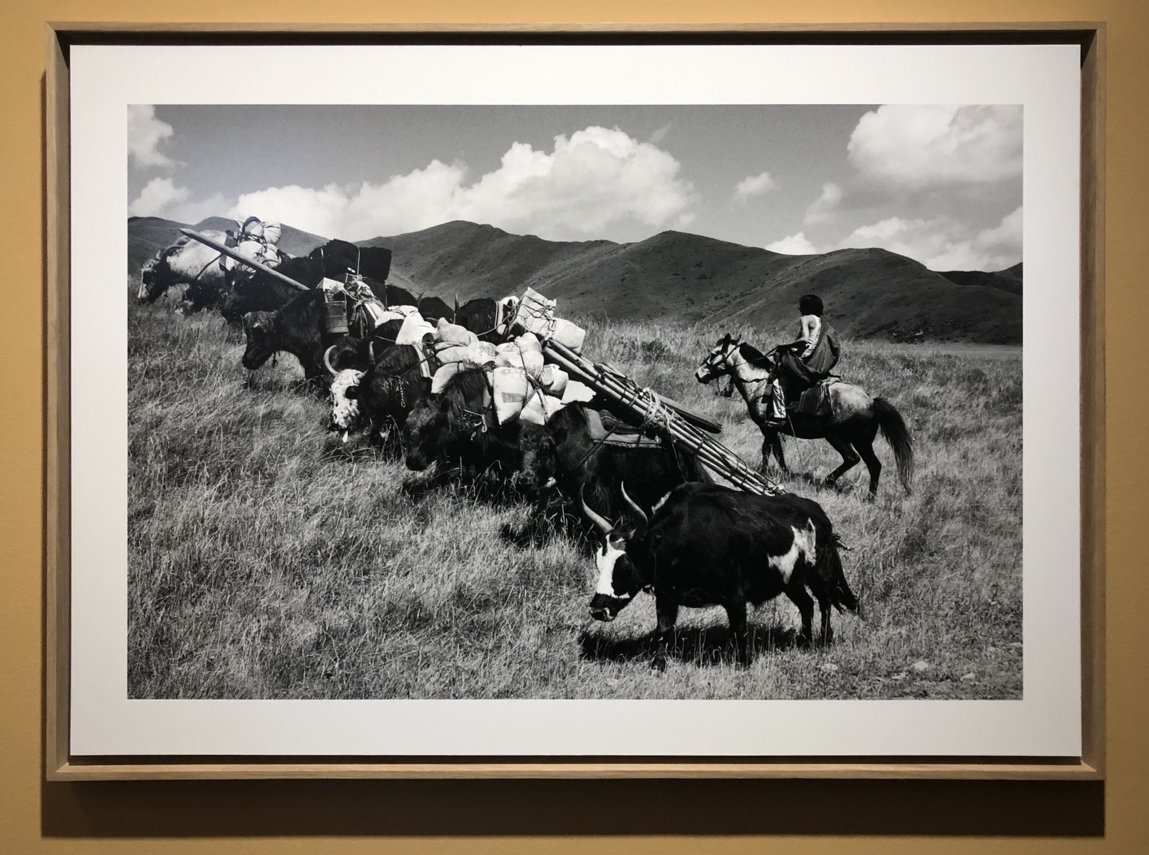 Exposition photos sur le Tibet au musée de la photographie de Nice