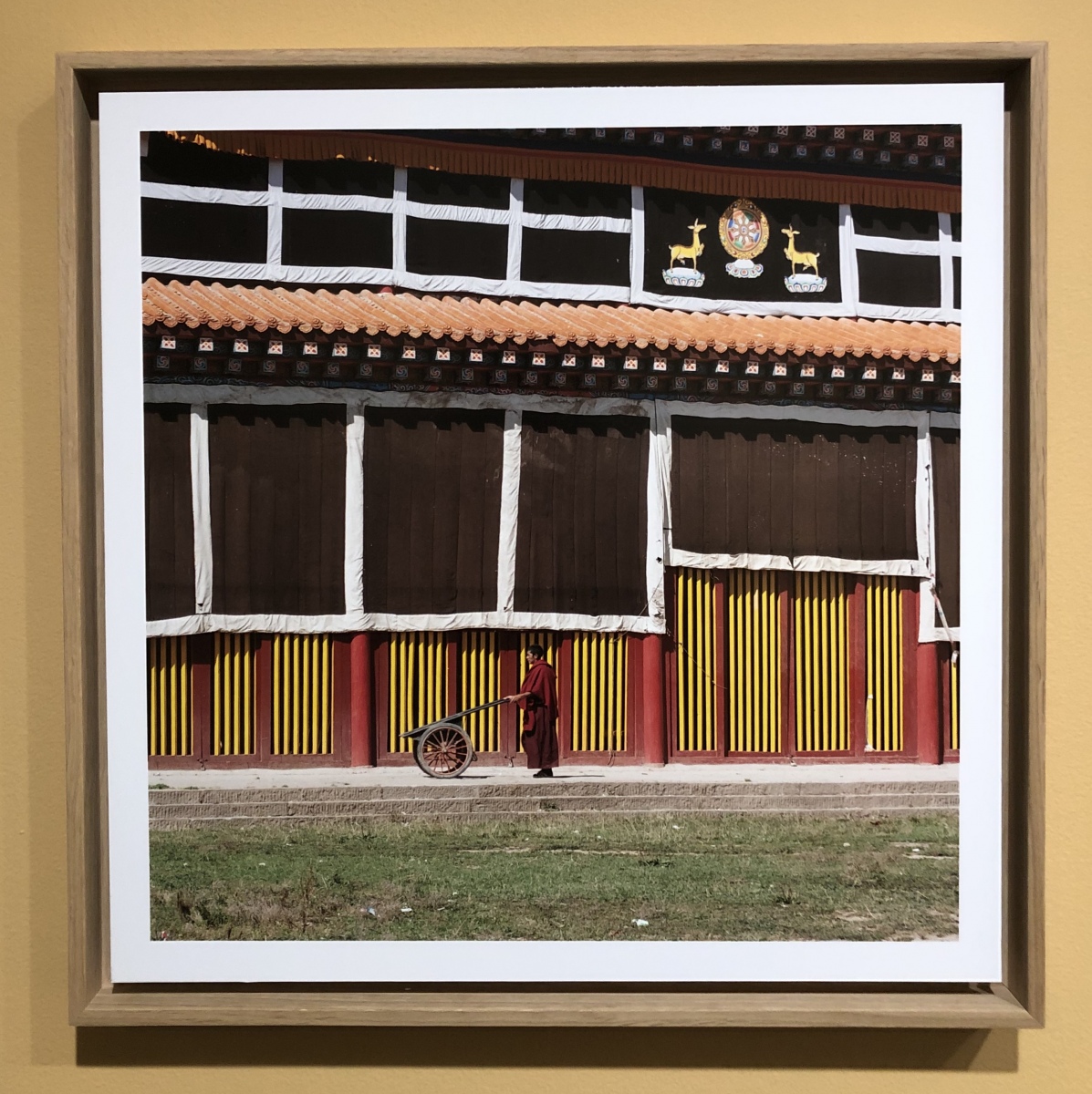 Exposition photos sur le Tibet au musée de la photographie de Nice