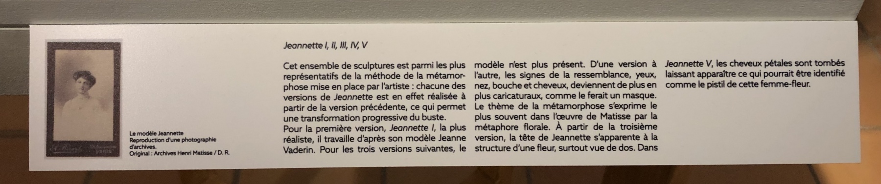 Visite de l'exposition 