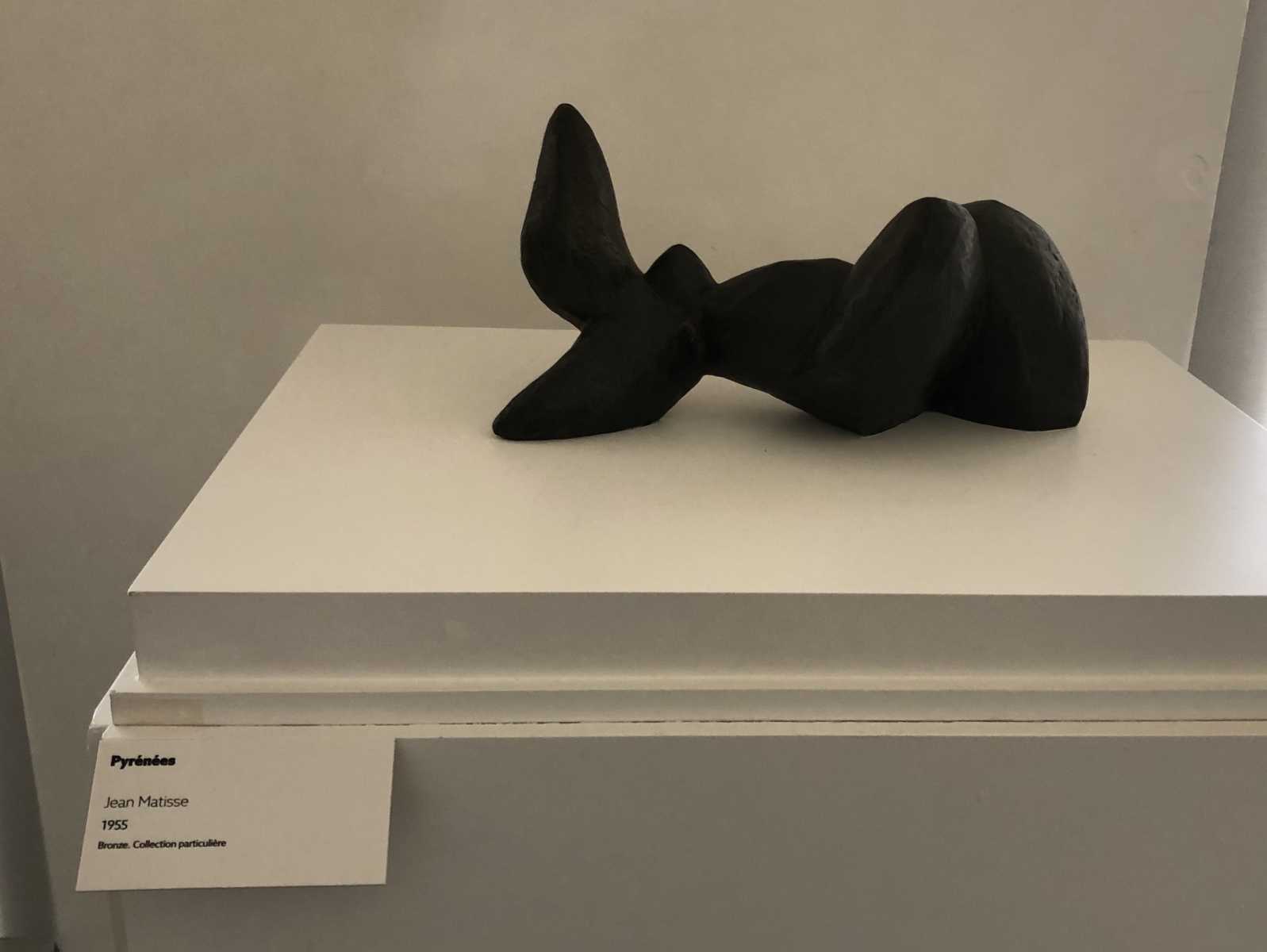Visite de l'exposition 