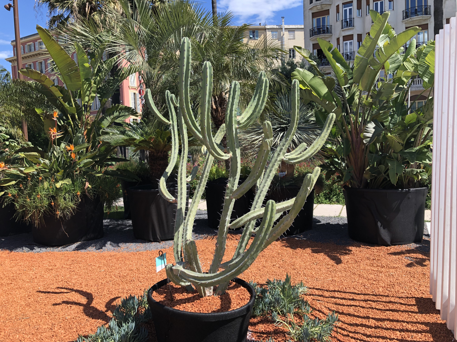 Ballade au festival des jardins 2021