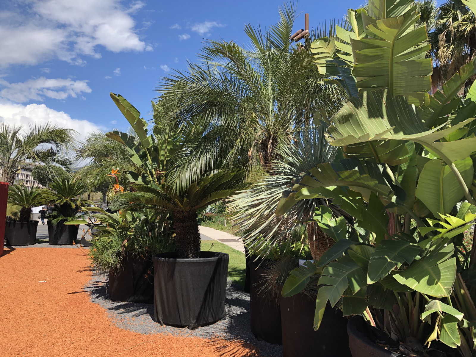 Ballade au festival des jardins 2021