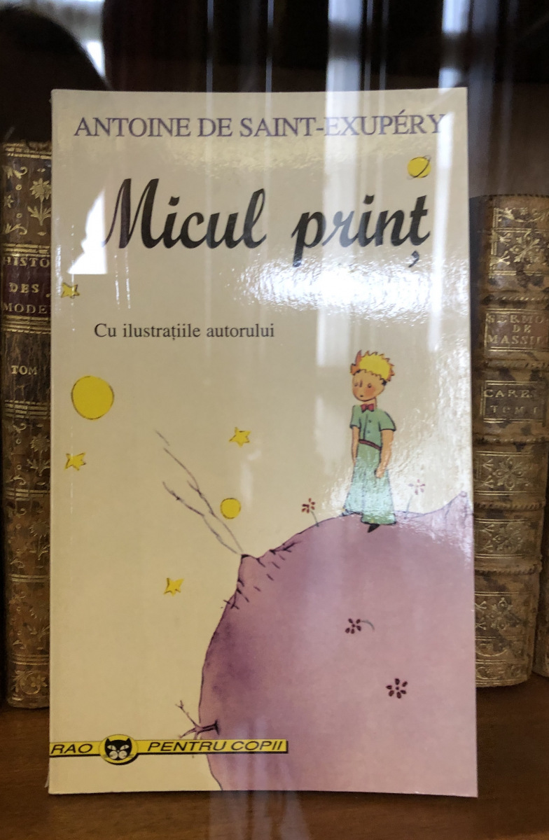 Visite de l'exposition 