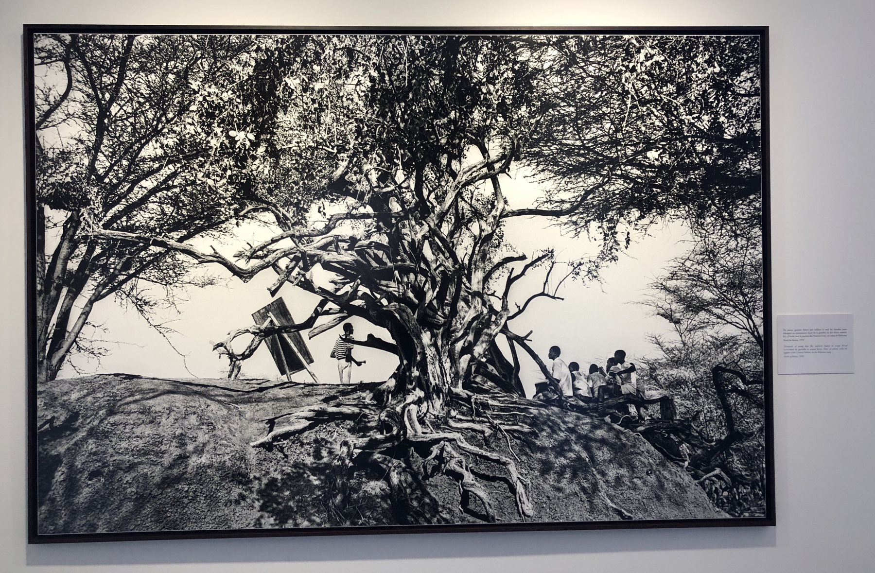 Superbe exposition 