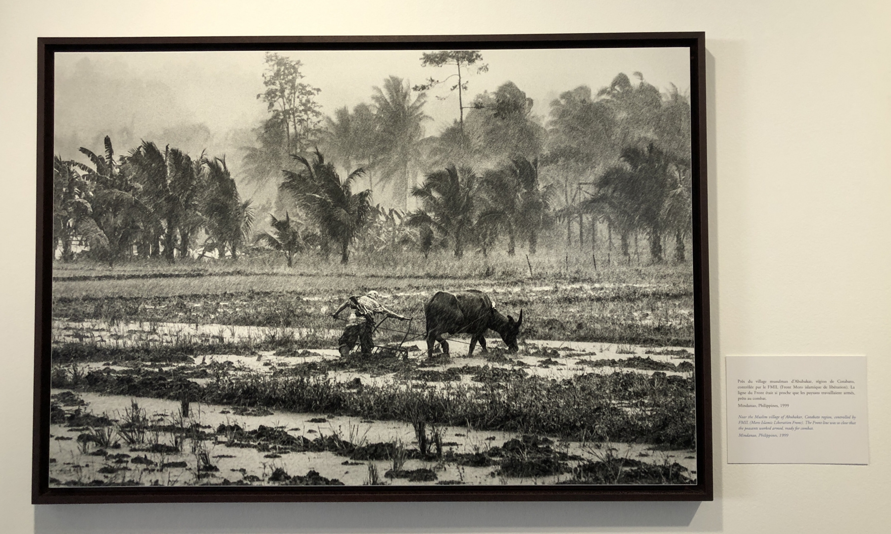 Superbe exposition 