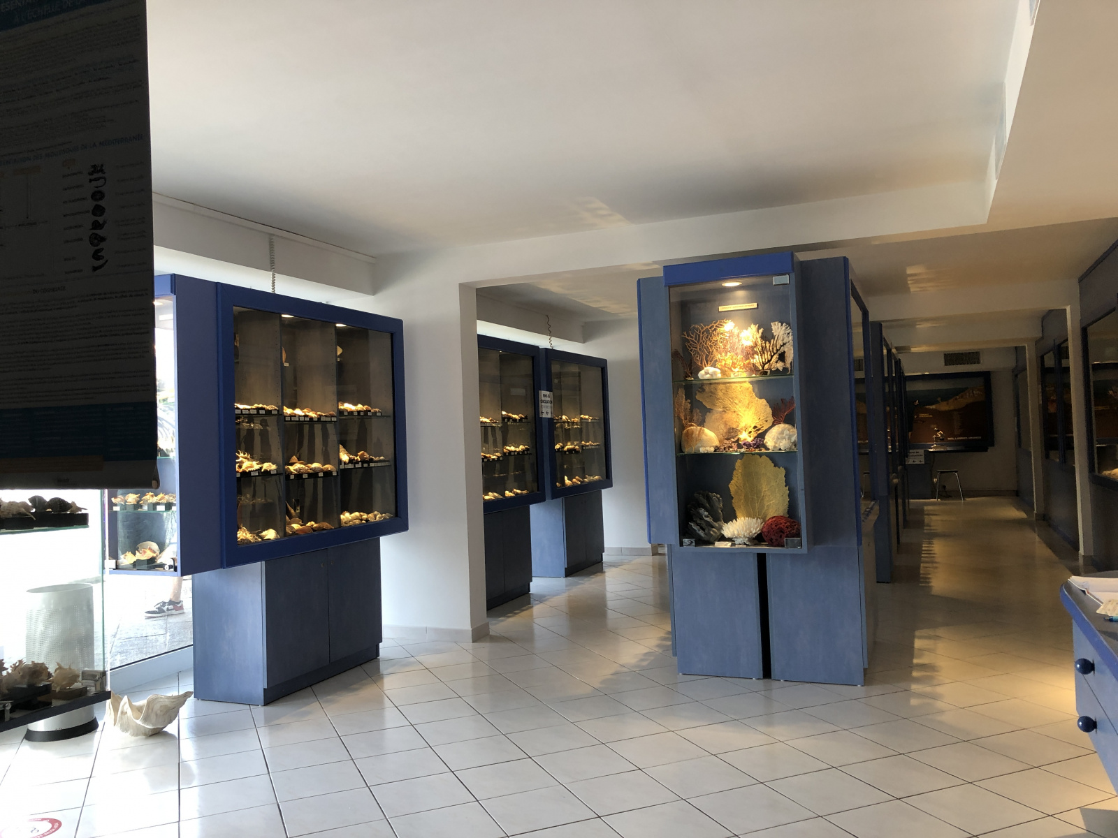 Musée des coquillages à Saint Jean Cap Ferrat