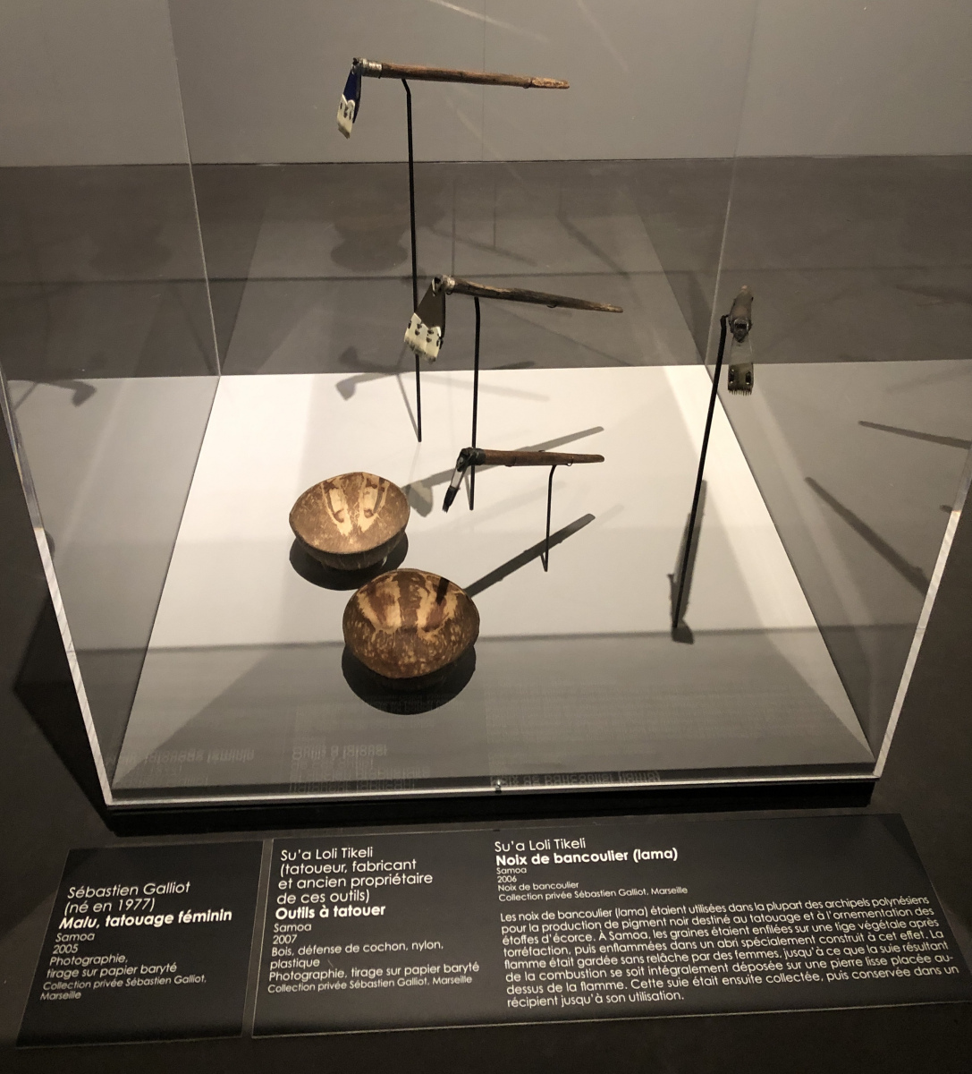 Exposition Tatoueurs, Tatoués