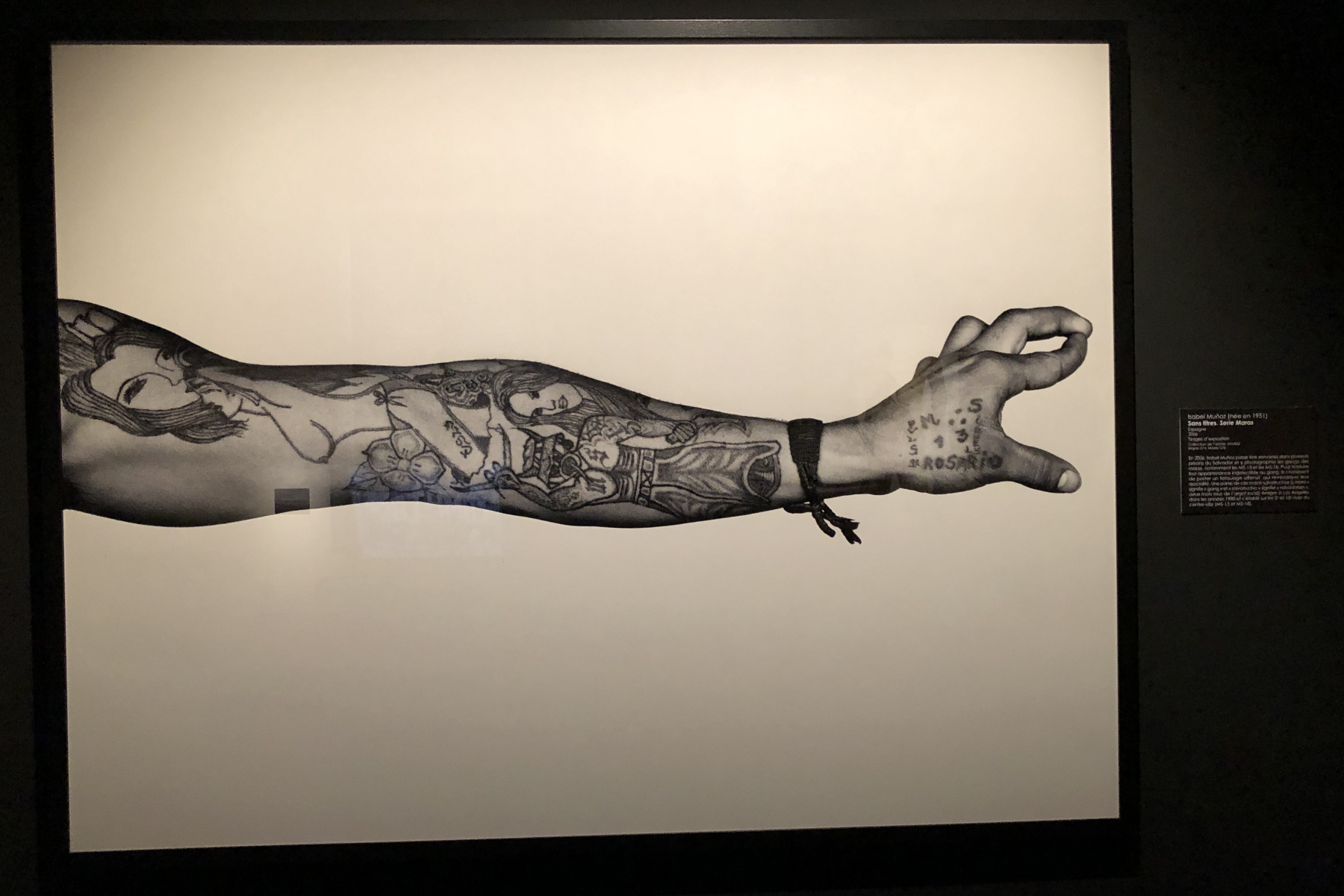 Exposition Tatoueurs, Tatoués