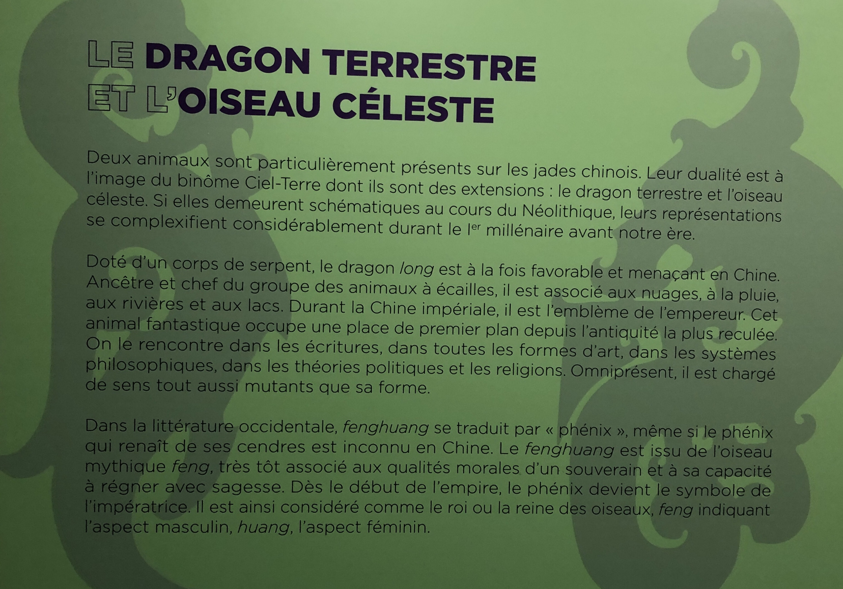Visite de l'exposition 