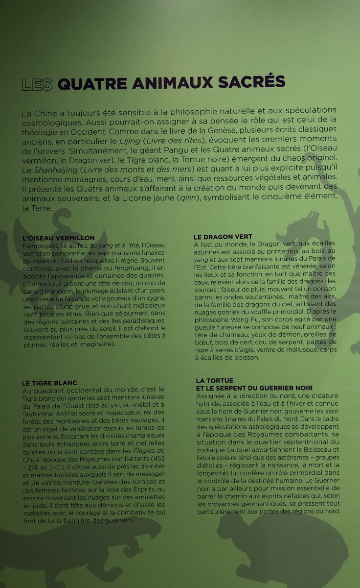 Visite de l'exposition 