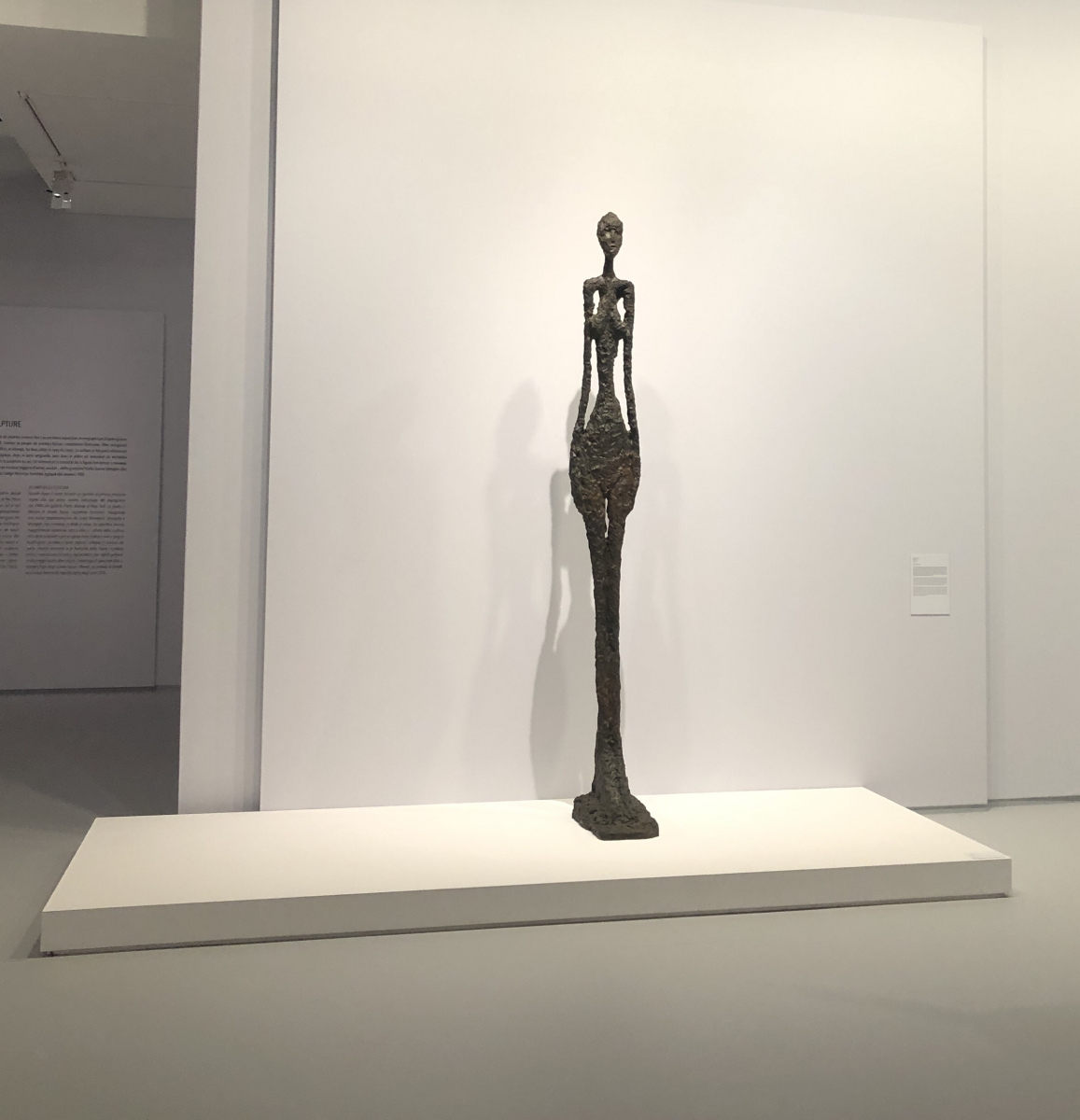 Visite de l'exposition 