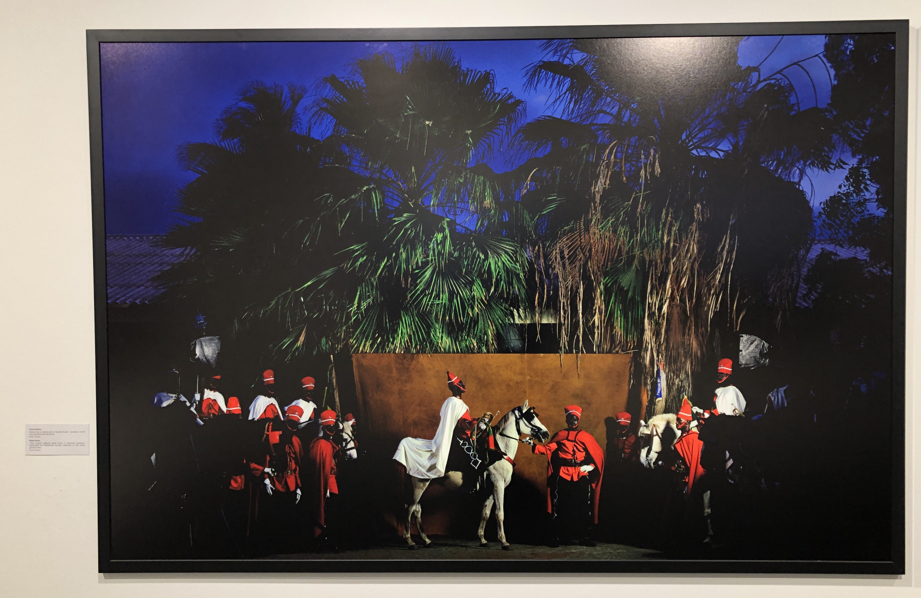 Visite de l'exposition consacrée à Yann Arthus Bertrand