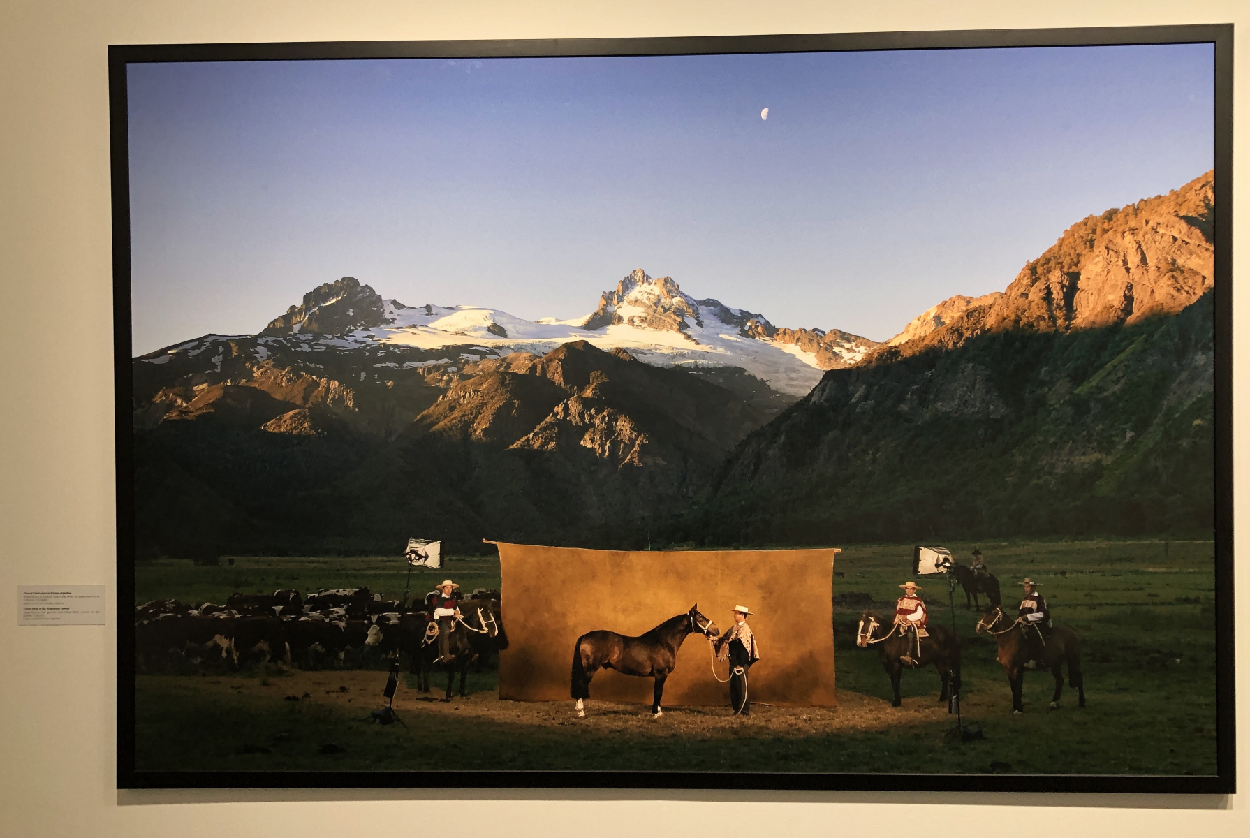 Visite de l'exposition consacrée à Yann Arthus Bertrand
