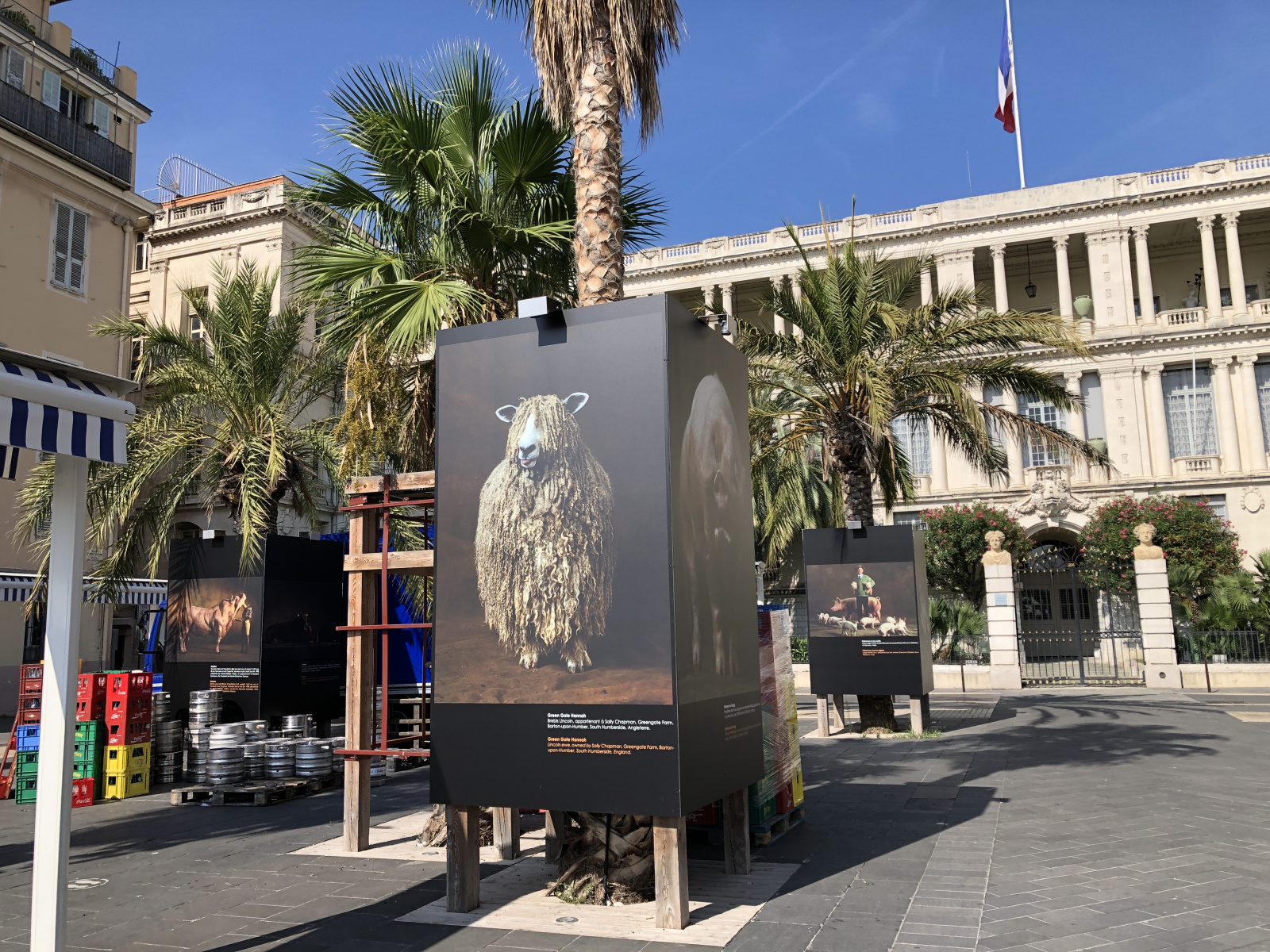 Visite de l'exposition consacrée à Yann Arthus Bertrand
