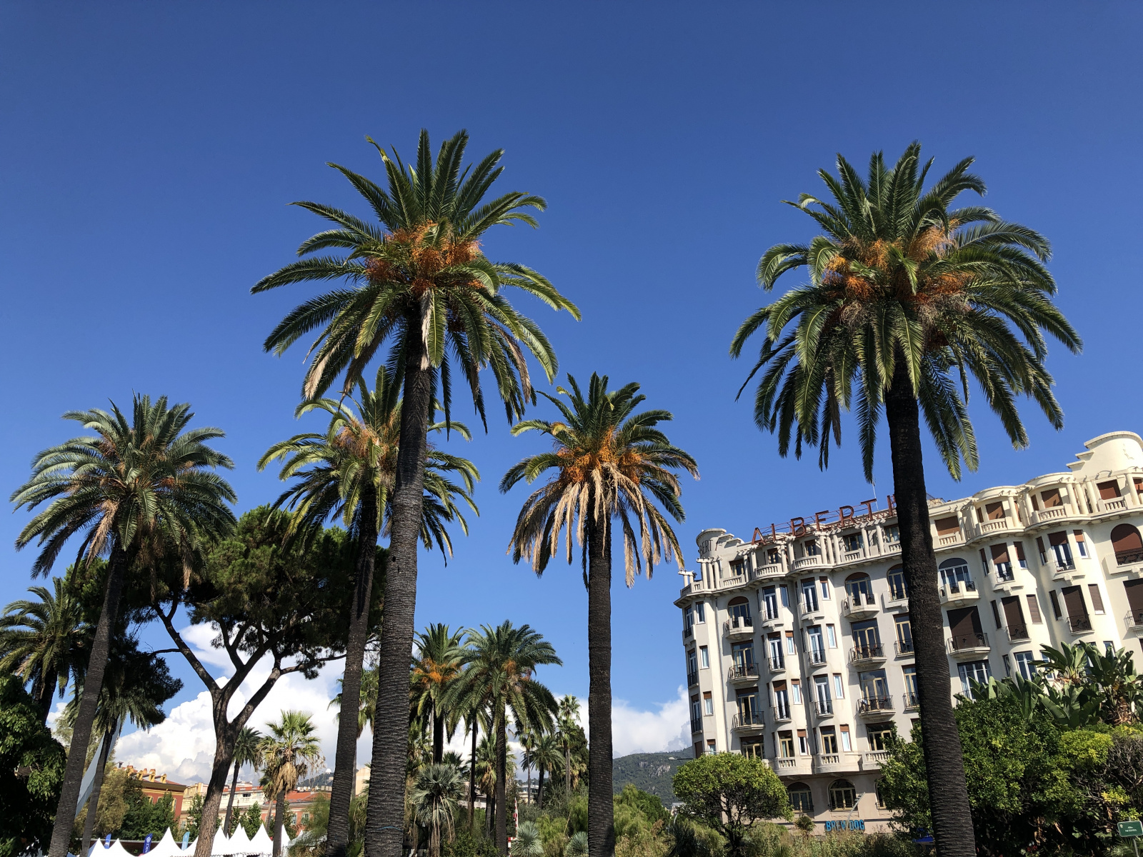Ballade au Festival du Livre de Nice 2021