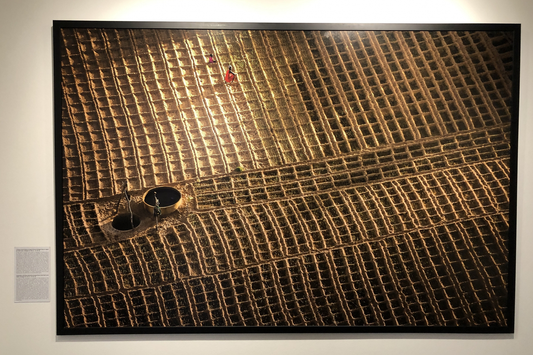 Visite de l'exposition consacrée à Yann Arthus Bertrand