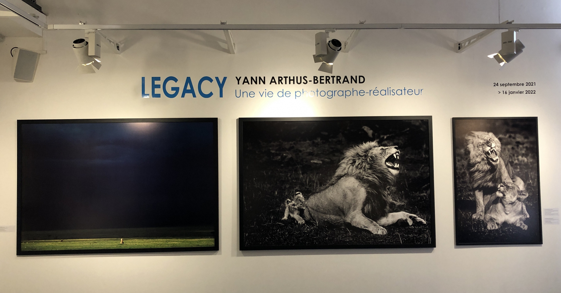 Visite de l'exposition consacrée à Yann Arthus Bertrand