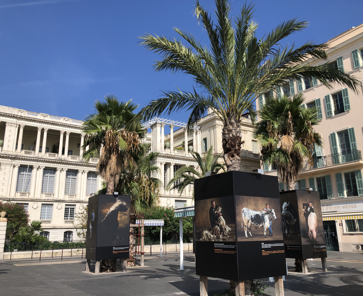 Visite de l'exposition consacrée à Yann Arthus Bertrand