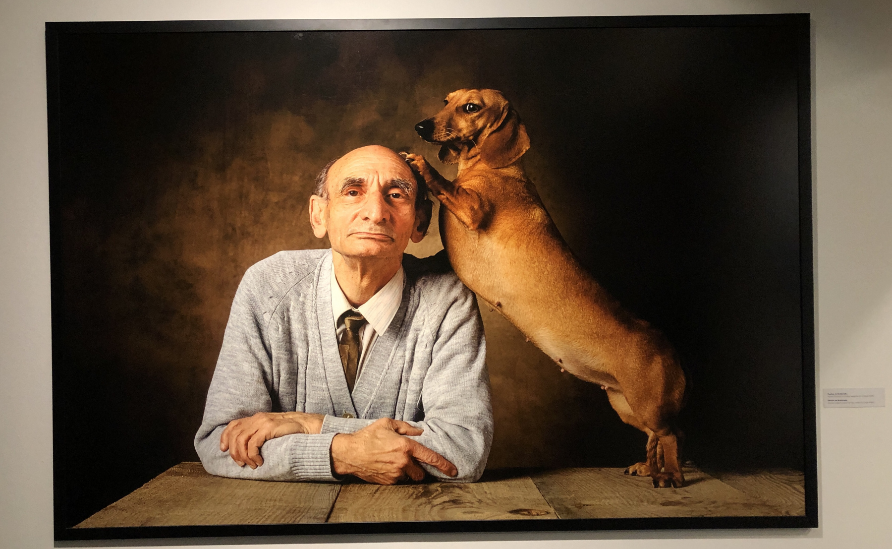 Visite de l'exposition consacrée à Yann Arthus Bertrand