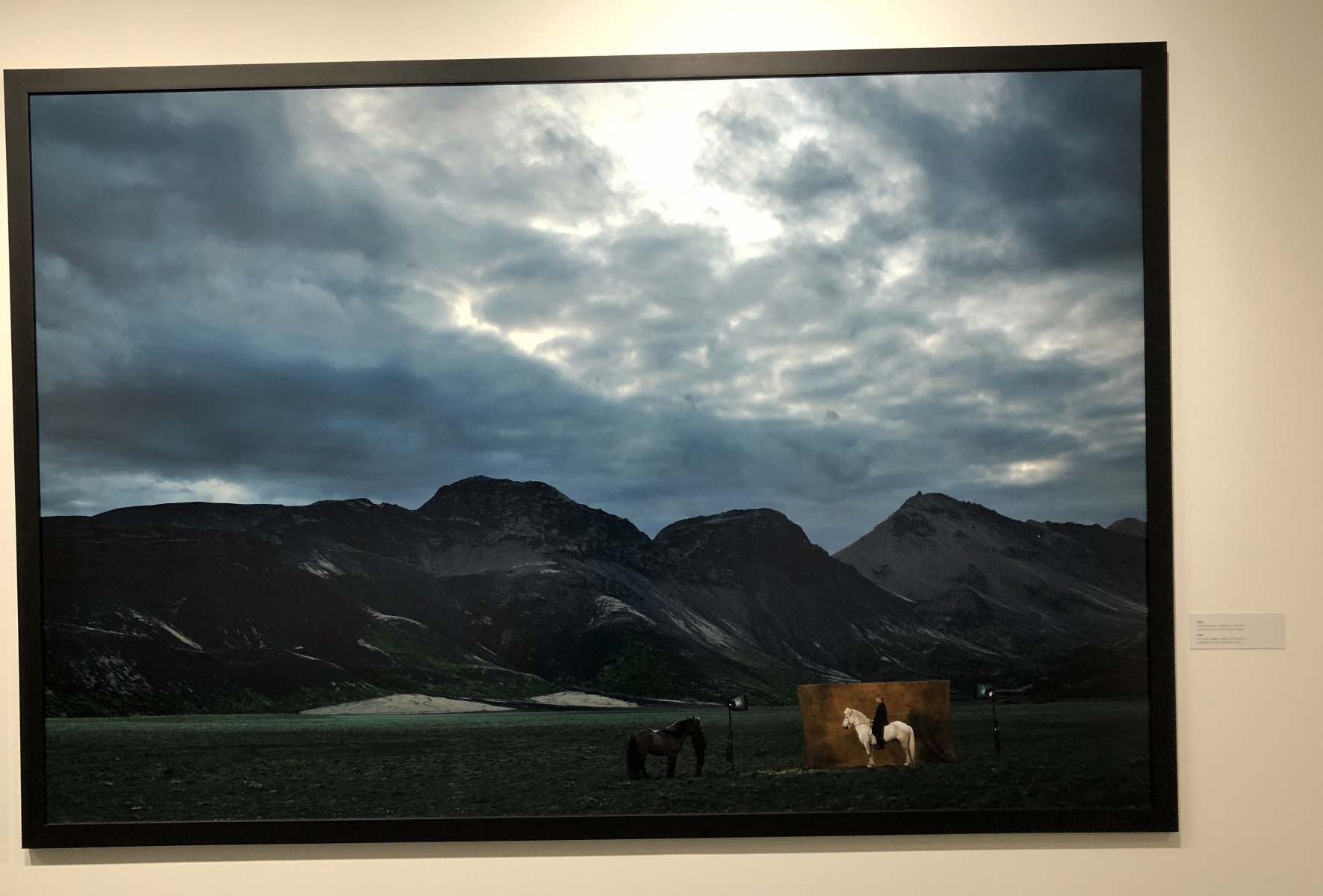 Visite de l'exposition consacrée à Yann Arthus Bertrand